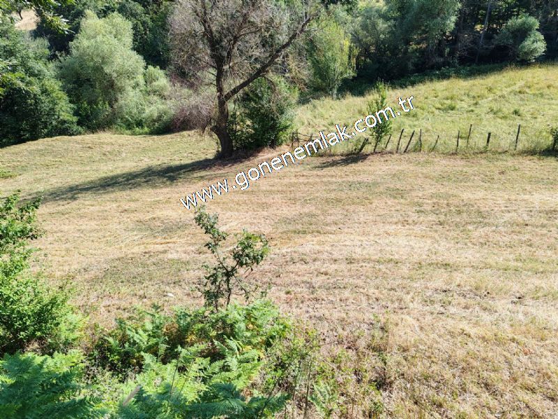 3.000 m2 Yatırımlık Tarla Bağ-Bahçe Resmi Kadastro Yolu Yoktur.