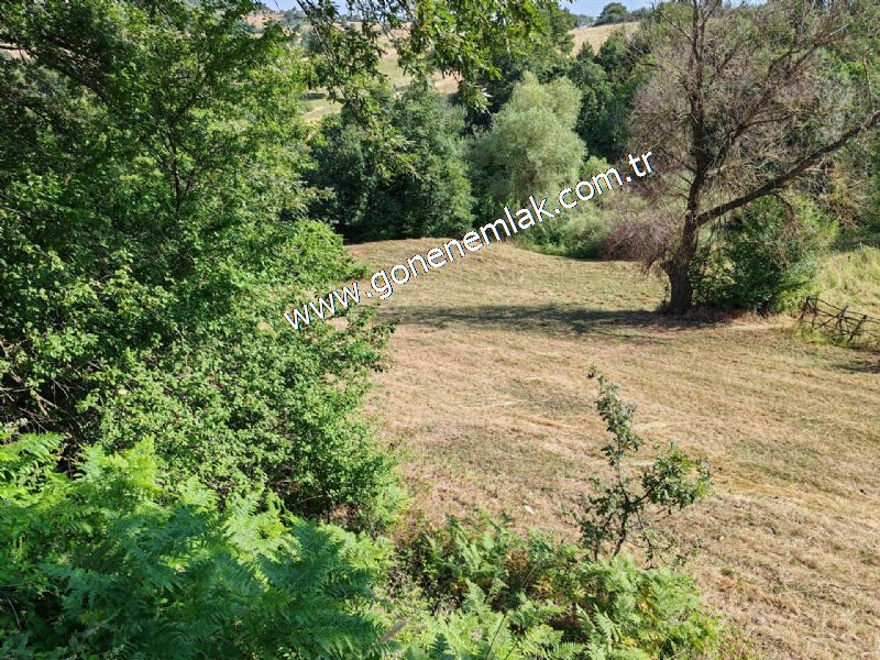 3.000 m2 Yatırımlık Tarla Bağ-Bahçe Resmi Kadastro Yolu Yoktur.