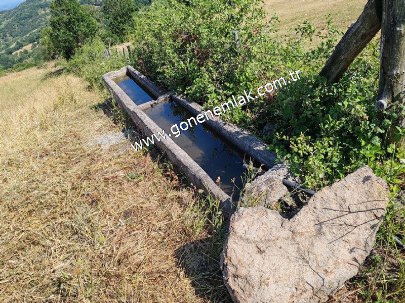 3.000 m2 Yatırımlık Tarla Bağ-Bahçe Resmi Kadastro Yolu Yoktur.