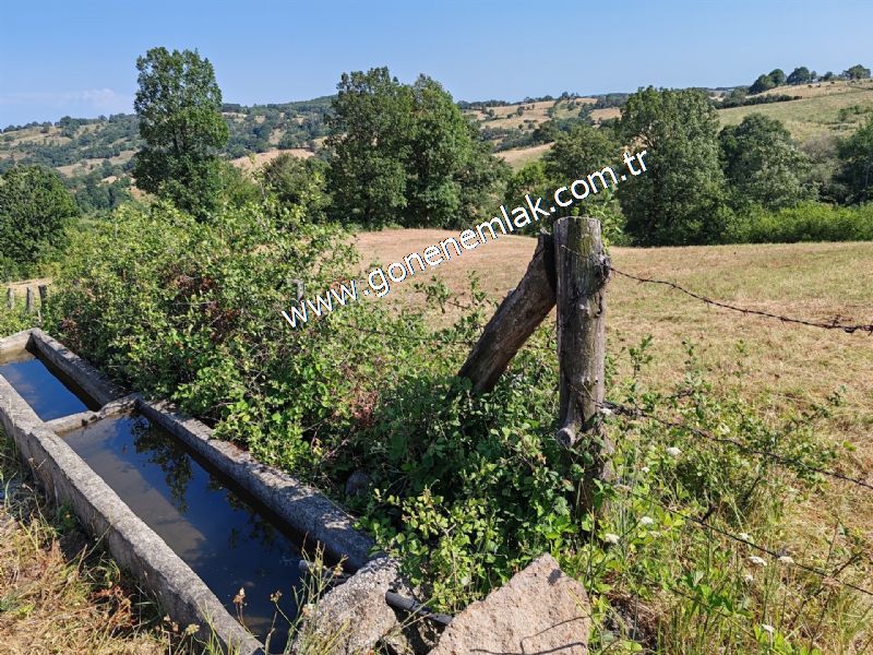 3.000 m2 Yatırımlık Tarla Bağ-Bahçe Resmi Kadastro Yolu Yoktur.