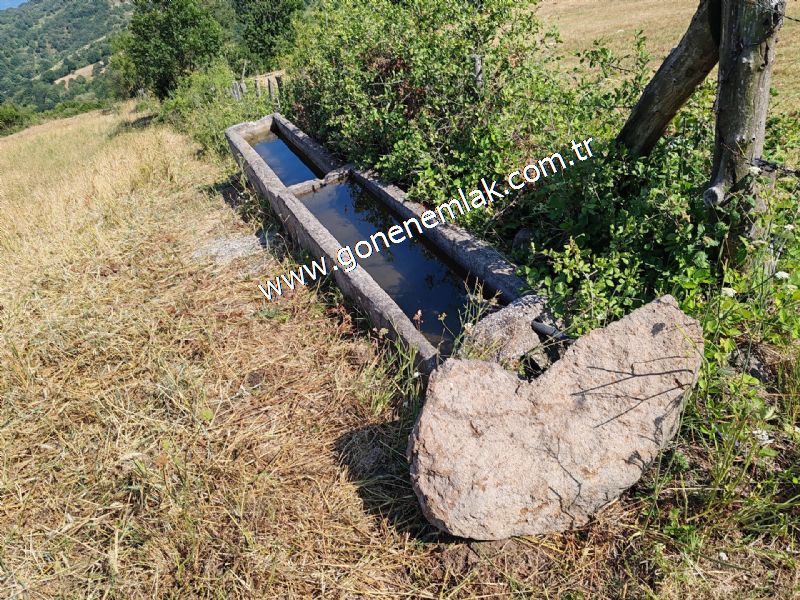 3.000 m2 Yatırımlık Tarla Bağ-Bahçe Resmi Kadastro Yolu Yoktur.