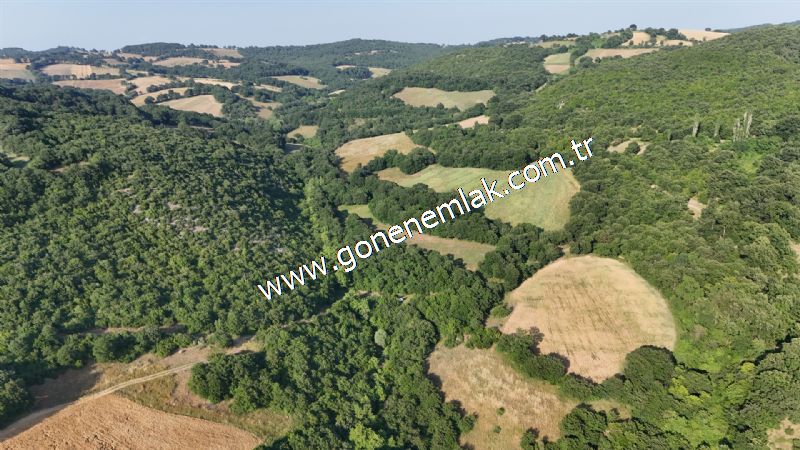 2.786 m2 Yatırımlık Tarla Bağ-Bahçe Resmi Kadastro Yolu Yoktur.