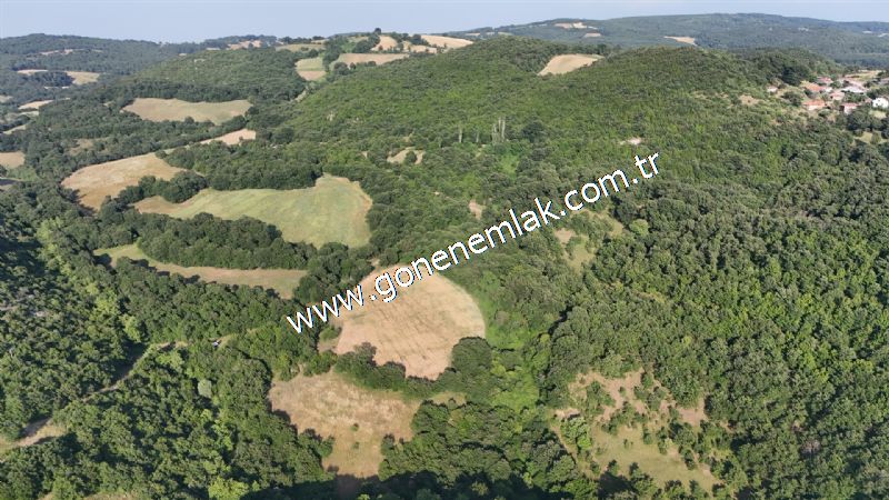 2.786 m2 Yatırımlık Tarla Bağ-Bahçe Resmi Kadastro Yolu Yoktur.