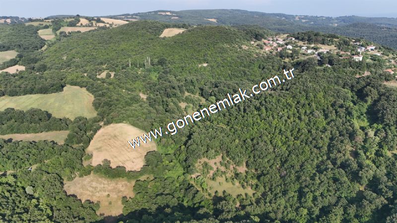 2.786 m2 Yatırımlık Tarla Bağ-Bahçe Resmi Kadastro Yolu Yoktur.