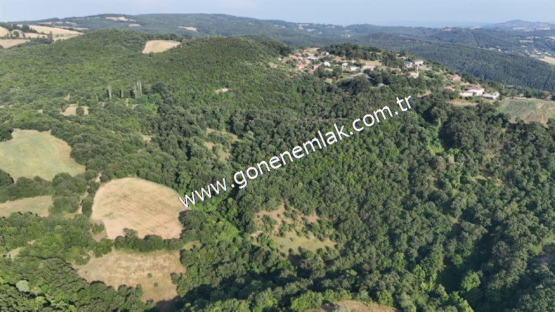 2.786 m2 Yatırımlık Tarla Bağ-Bahçe Resmi Kadastro Yolu Yoktur.