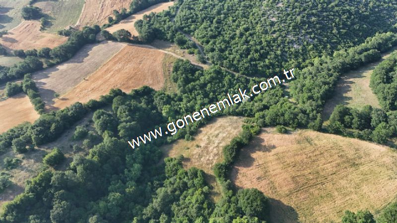 2.786 m2 Yatırımlık Tarla Bağ-Bahçe Resmi Kadastro Yolu Yoktur.