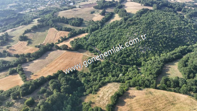 2.786 m2 Yatırımlık Tarla Bağ-Bahçe Resmi Kadastro Yolu Yoktur.