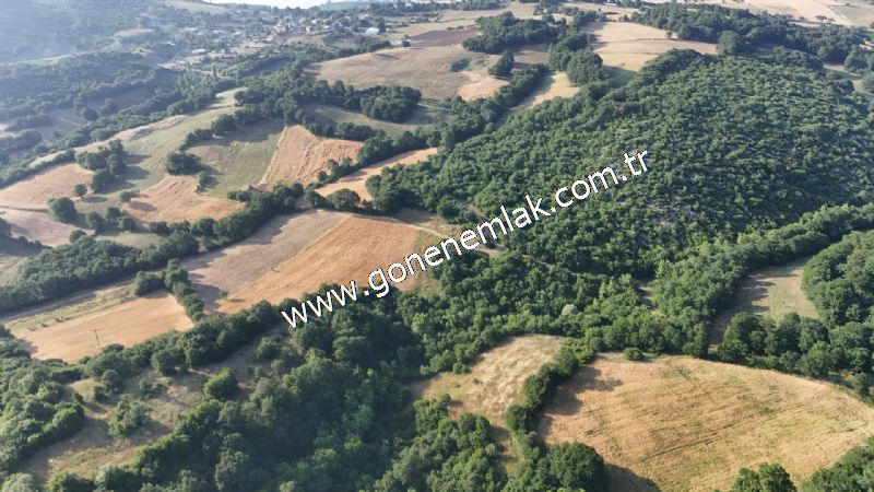 2.786 m2 Yatırımlık Tarla Bağ-Bahçe Resmi Kadastro Yolu Yoktur.