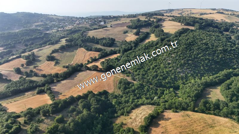 2.786 m2 Yatırımlık Tarla Bağ-Bahçe Resmi Kadastro Yolu Yoktur.