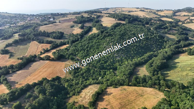 2.786 m2 Yatırımlık Tarla Bağ-Bahçe Resmi Kadastro Yolu Yoktur.