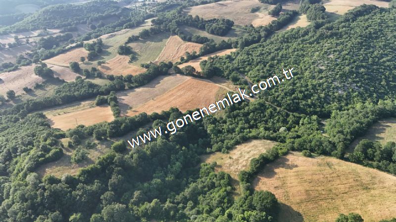 2.786 m2 Yatırımlık Tarla Bağ-Bahçe Resmi Kadastro Yolu Yoktur.