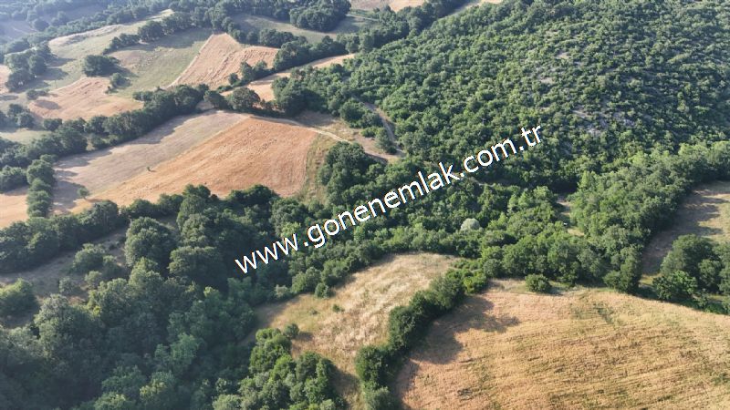 2.786 m2 Yatırımlık Tarla Bağ-Bahçe Resmi Kadastro Yolu Yoktur.
