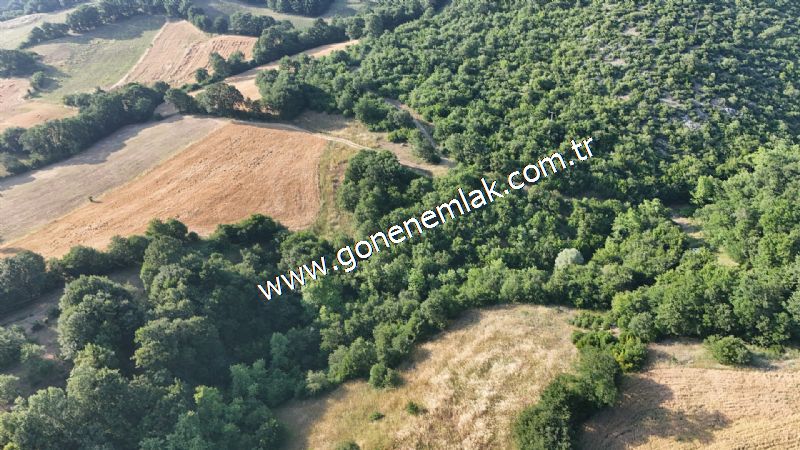 2.786 m2 Yatırımlık Tarla Bağ-Bahçe Resmi Kadastro Yolu Yoktur.
