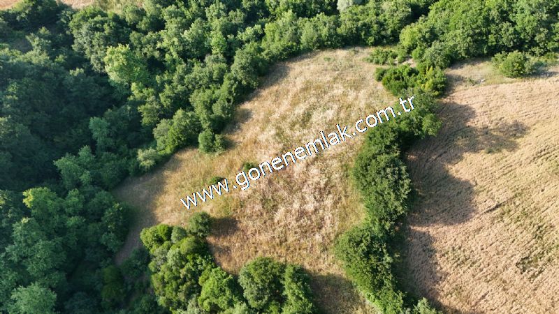 2.786 m2 Yatırımlık Tarla Bağ-Bahçe Resmi Kadastro Yolu Yoktur.