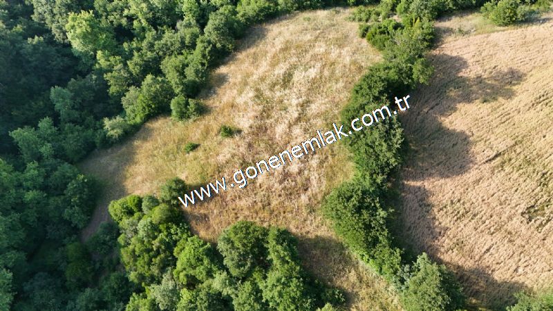 2.786 m2 Yatırımlık Tarla Bağ-Bahçe Resmi Kadastro Yolu Yoktur.