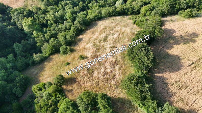 2.786 m2 Yatırımlık Tarla Bağ-Bahçe Resmi Kadastro Yolu Yoktur.