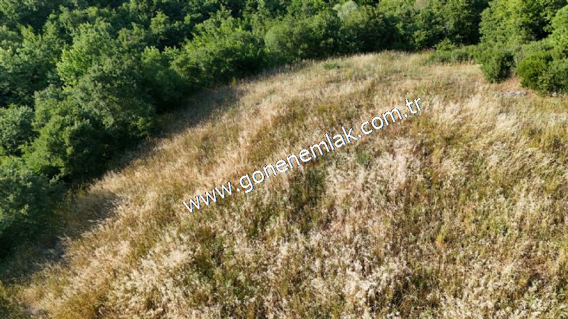 2.786 m2 Yatırımlık Tarla Bağ-Bahçe Resmi Kadastro Yolu Yoktur.