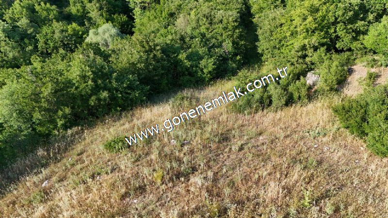 2.786 m2 Yatırımlık Tarla Bağ-Bahçe Resmi Kadastro Yolu Yoktur.