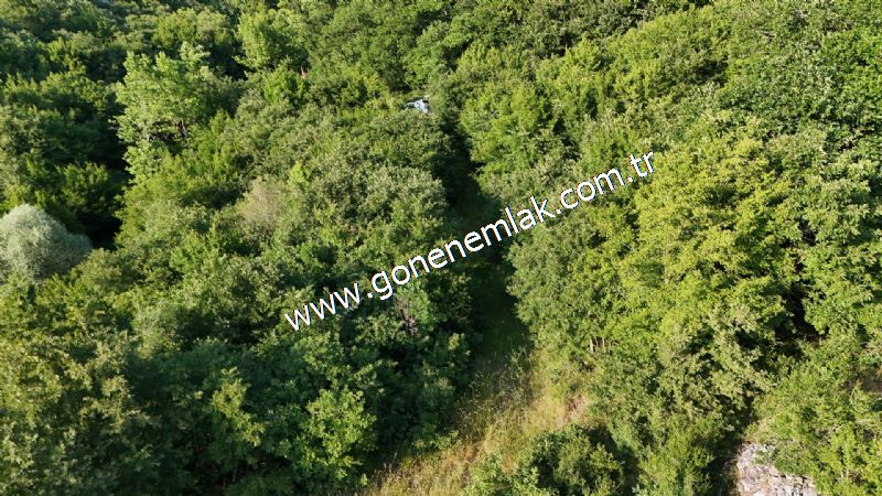 2.786 m2 Yatırımlık Tarla Bağ-Bahçe Resmi Kadastro Yolu Yoktur.
