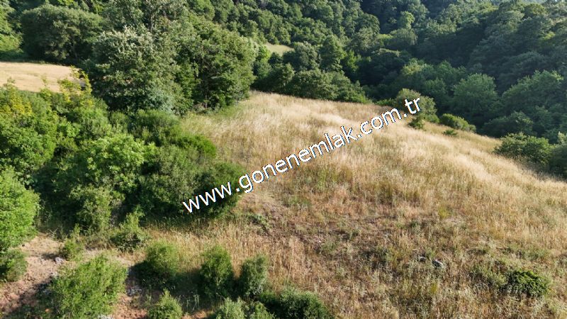 2.786 m2 Yatırımlık Tarla Bağ-Bahçe Resmi Kadastro Yolu Yoktur.