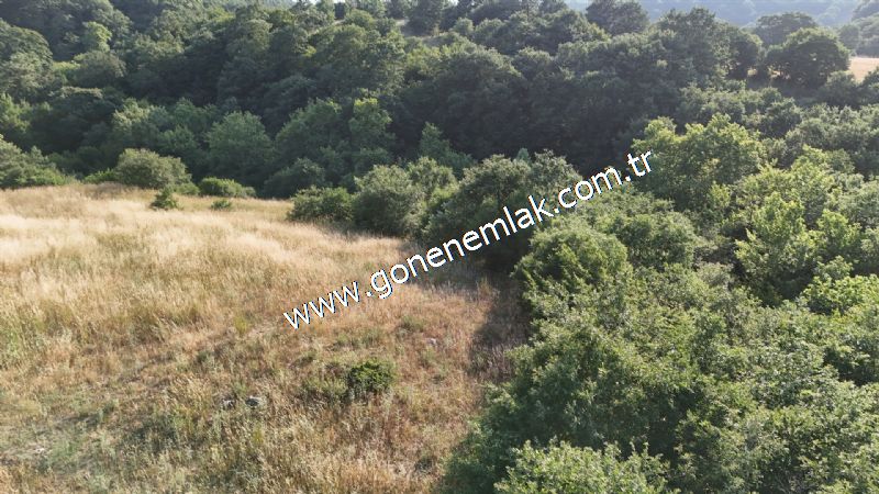 2.786 m2 Yatırımlık Tarla Bağ-Bahçe Resmi Kadastro Yolu Yoktur.