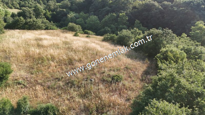 2.786 m2 Yatırımlık Tarla Bağ-Bahçe Resmi Kadastro Yolu Yoktur.