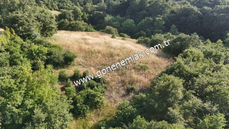2.786 m2 Yatırımlık Tarla Bağ-Bahçe Resmi Kadastro Yolu Yoktur.