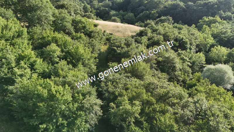 2.786 m2 Yatırımlık Tarla Bağ-Bahçe Resmi Kadastro Yolu Yoktur.