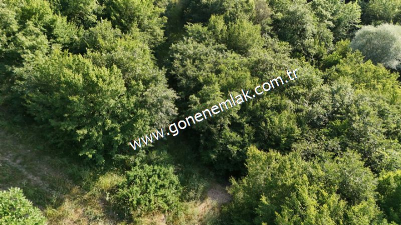 2.786 m2 Yatırımlık Tarla Bağ-Bahçe Resmi Kadastro Yolu Yoktur.