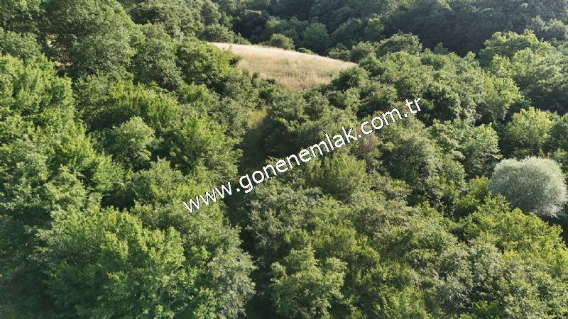 2.786 m2 Yatırımlık Tarla Bağ-Bahçe Resmi Kadastro Yolu Yoktur.
