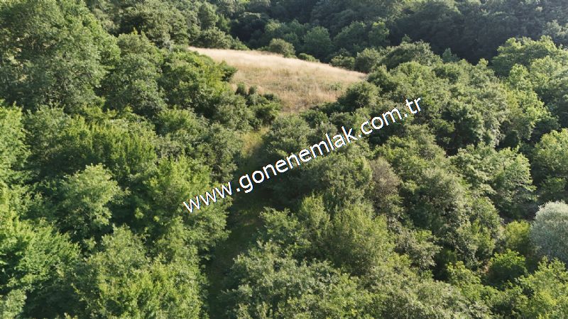 2.786 m2 Yatırımlık Tarla Bağ-Bahçe Resmi Kadastro Yolu Yoktur.
