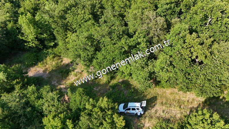 2.786 m2 Yatırımlık Tarla Bağ-Bahçe Resmi Kadastro Yolu Yoktur.