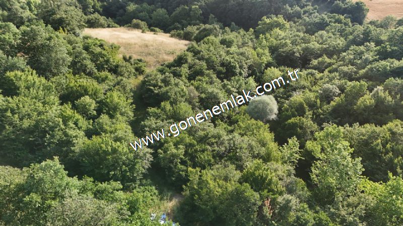 2.786 m2 Yatırımlık Tarla Bağ-Bahçe Resmi Kadastro Yolu Yoktur.