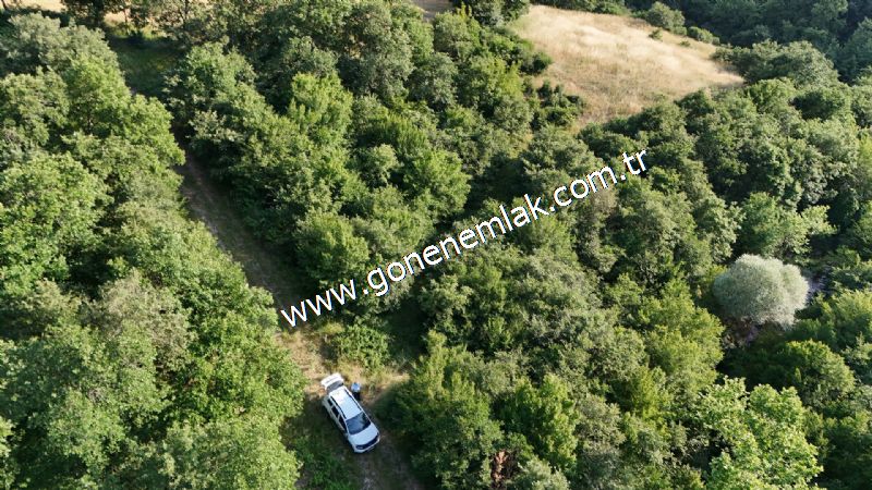 2.786 m2 Yatırımlık Tarla Bağ-Bahçe Resmi Kadastro Yolu Yoktur.