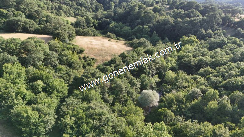 2.786 m2 Yatırımlık Tarla Bağ-Bahçe Resmi Kadastro Yolu Yoktur.