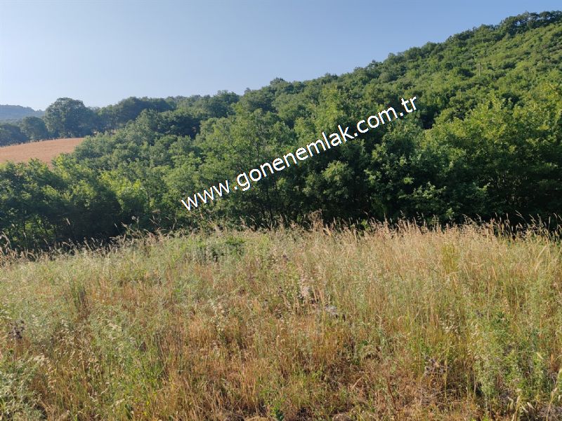 2.786 m2 Yatırımlık Tarla Bağ-Bahçe Resmi Kadastro Yolu Yoktur.