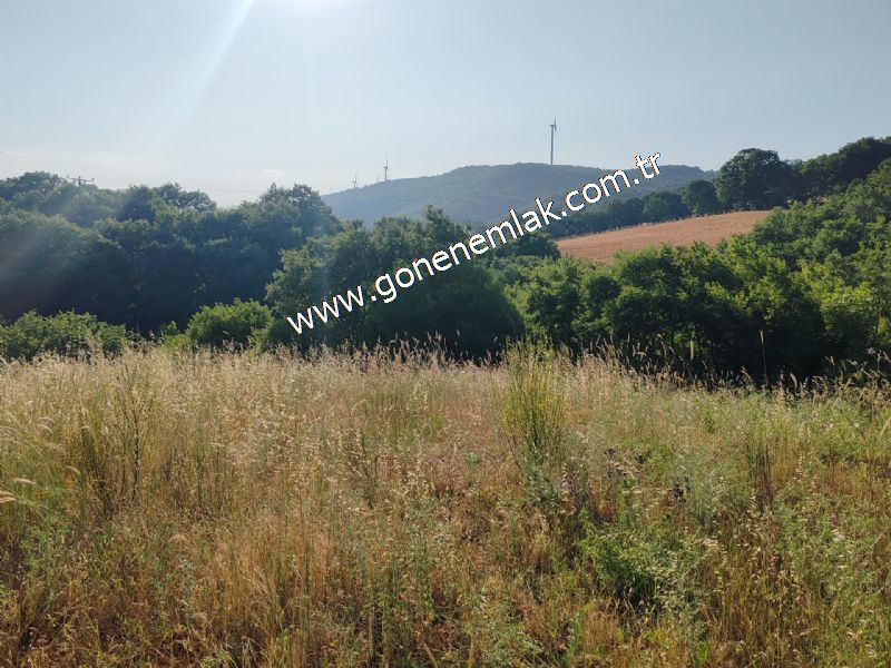 2.786 m2 Yatırımlık Tarla Bağ-Bahçe Resmi Kadastro Yolu Yoktur.