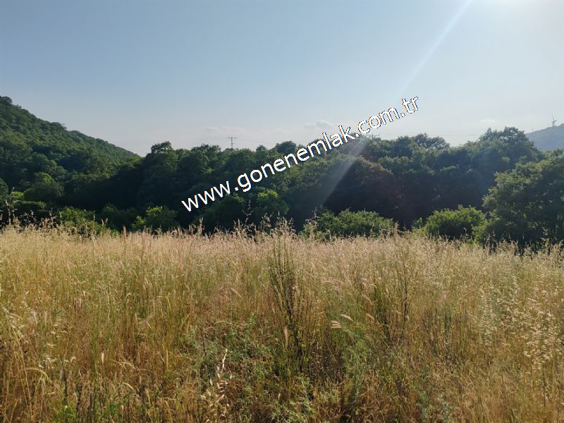 2.786 m2 Yatırımlık Tarla Bağ-Bahçe Resmi Kadastro Yolu Yoktur.