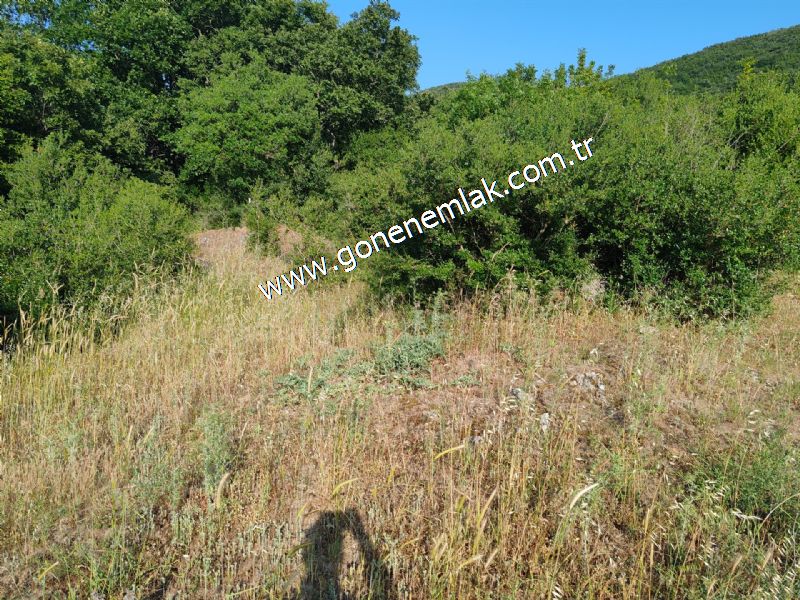 2.786 m2 Yatırımlık Tarla Bağ-Bahçe Resmi Kadastro Yolu Yoktur.