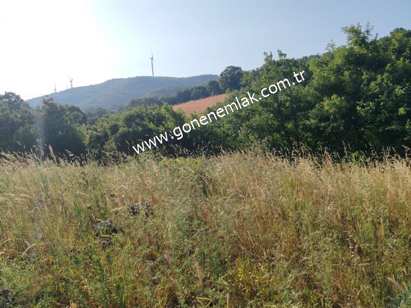 2.786 m2 Yatırımlık Tarla Bağ-Bahçe Resmi Kadastro Yolu Yoktur.