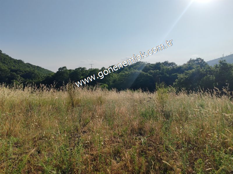 2.786 m2 Yatırımlık Tarla Bağ-Bahçe Resmi Kadastro Yolu Yoktur.