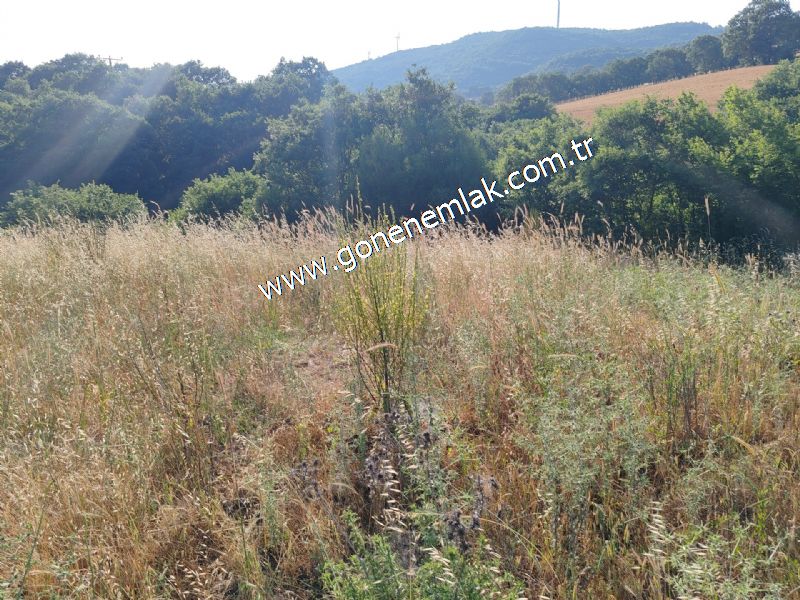 2.786 m2 Yatırımlık Tarla Bağ-Bahçe Resmi Kadastro Yolu Yoktur.