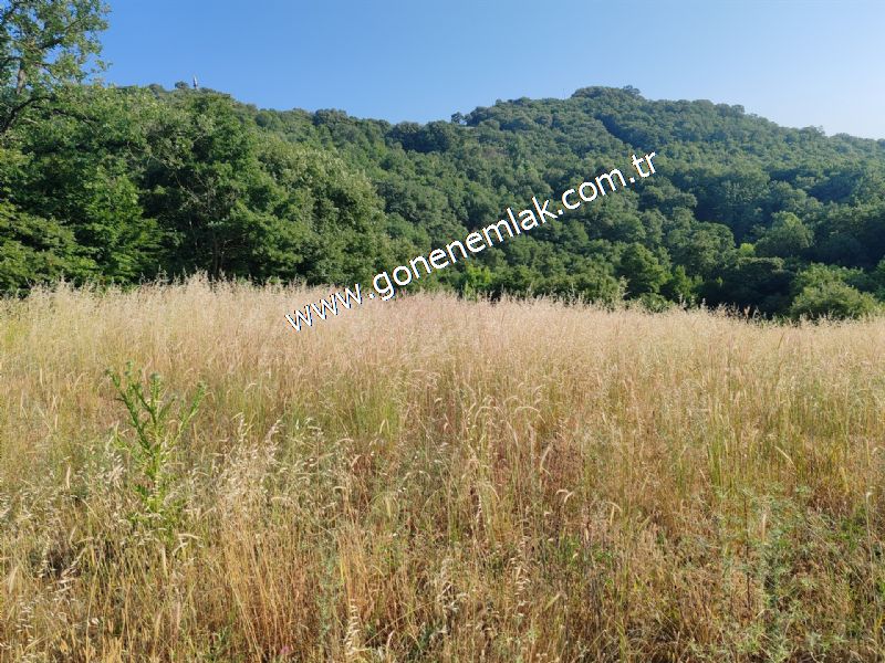 2.786 m2 Yatırımlık Tarla Bağ-Bahçe Resmi Kadastro Yolu Yoktur.