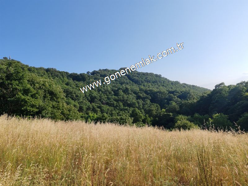 2.786 m2 Yatırımlık Tarla Bağ-Bahçe Resmi Kadastro Yolu Yoktur.