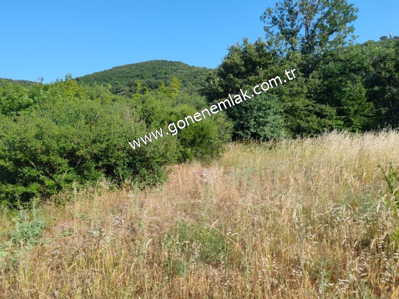2.786 m2 Yatırımlık Tarla Bağ-Bahçe Resmi Kadastro Yolu Yoktur.
