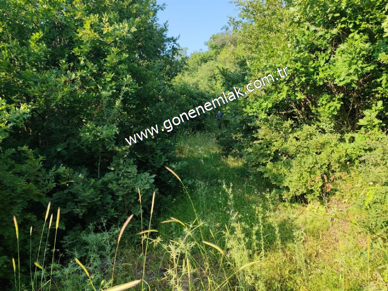 2.786 m2 Yatırımlık Tarla Bağ-Bahçe Resmi Kadastro Yolu Yoktur.