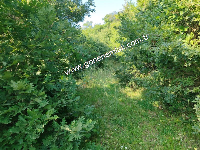 2.786 m2 Yatırımlık Tarla Bağ-Bahçe Resmi Kadastro Yolu Yoktur.