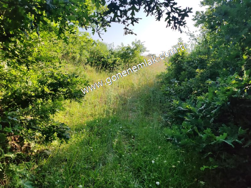 2.786 m2 Yatırımlık Tarla Bağ-Bahçe Resmi Kadastro Yolu Yoktur.