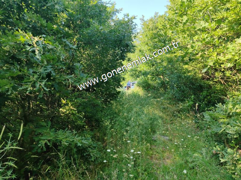2.786 m2 Yatırımlık Tarla Bağ-Bahçe Resmi Kadastro Yolu Yoktur.