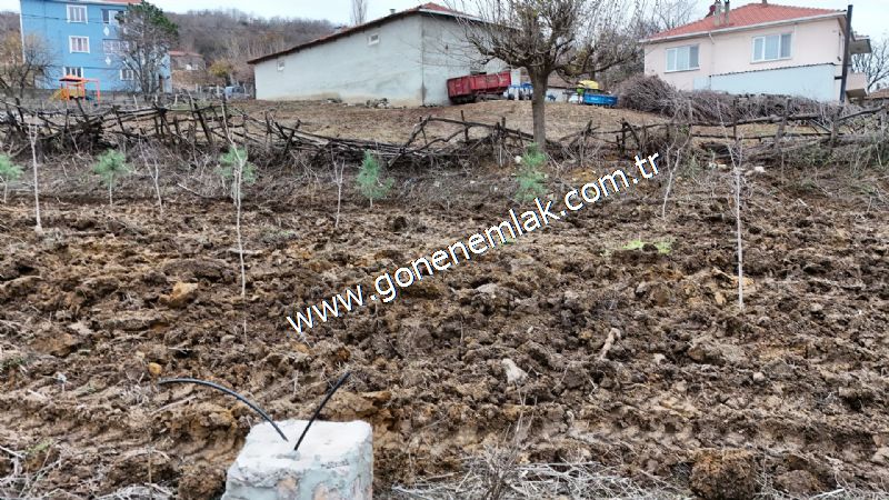 556 m2 İmarlı 2 kat %40 Arsa Köy Evi Ortasında